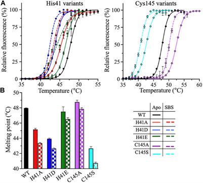 Catalytic Dyad Residues His41 and Cys145 Impact the Catalytic Activity and Overall Conformational Fold of the Main SARS-CoV-2 Protease 3-Chymotrypsin-Like Protease